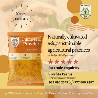 Organic Turmeric Powder 200gm