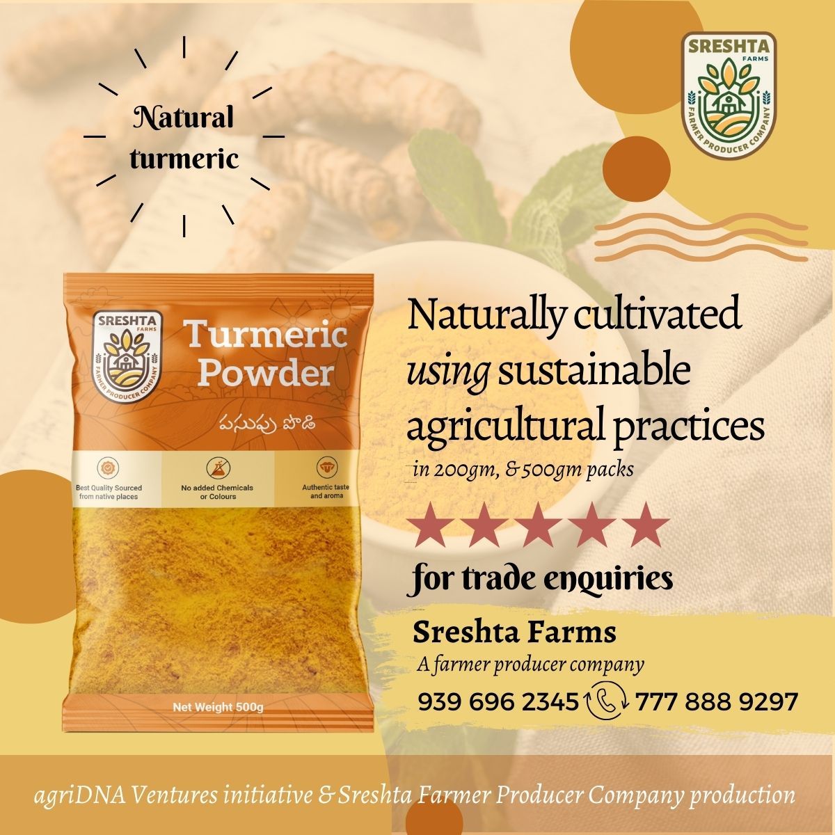 Organic Turmeric Powder 200gm