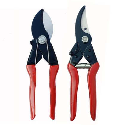 Major And Pruner (Set of 2)