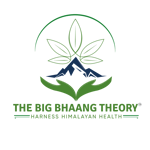 दी बिग भांग थ्योरी