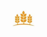 Bhabua krishi Utpadak Swayat Sahkarita Producer Company Limited