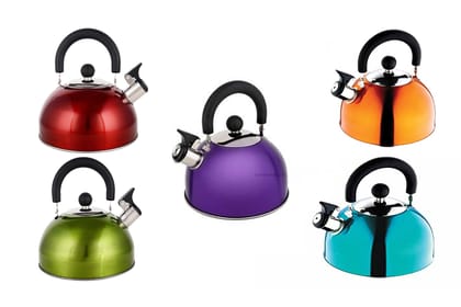 Renberg Induction Base Stainless Steel Whistling Kettle (2.25 Litres, Multicolour) Renberg Induction Base Stainless Steel Whistling Kettle (2.25 Litres, Multicolour)