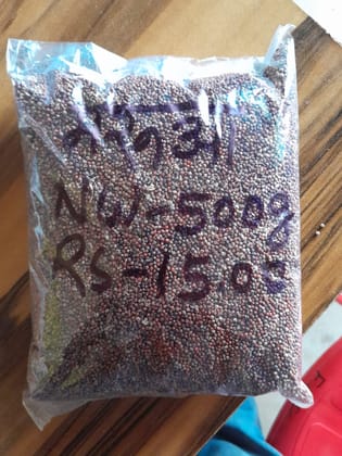 Ragi