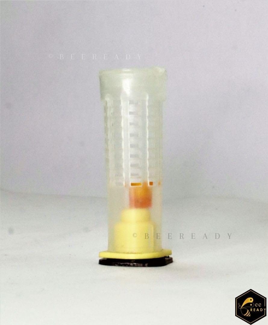 BeeReady Queen cage with 4 Parts Beekeeping Equipment Tool- Pack of 5