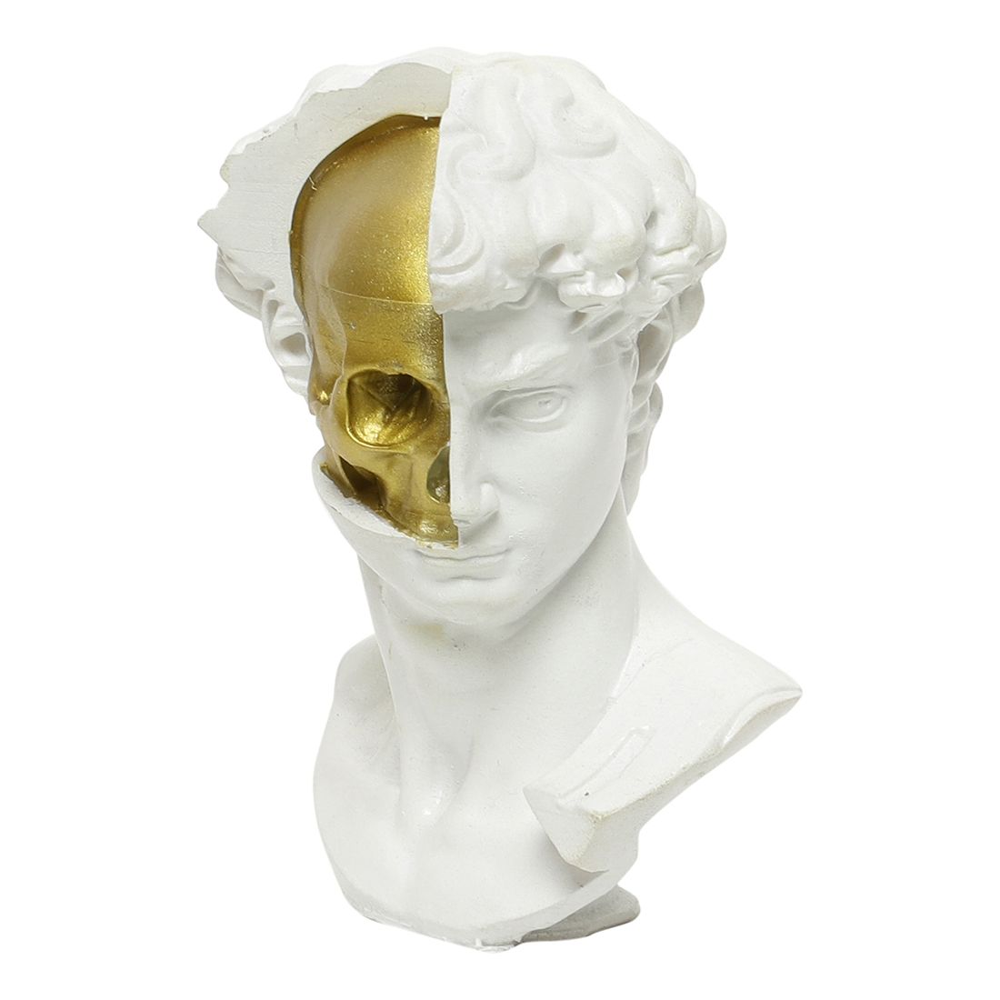 DAVID'S SKULL is an edgy decorative item for living rooms, it adds an intriguing touch as a showpiece for home decor. It can serve as a statement piece in your home decor. (L:7 X B:4 X H:10)cms, White…