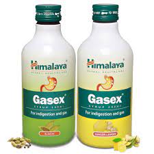 Himalaya Gasex Syrup 200ml Pack 2 Himalaya Gasex Syrup 200ml Pack 2