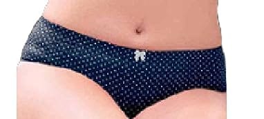 Enamor Women's Cotton Brief
