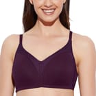 ... ...