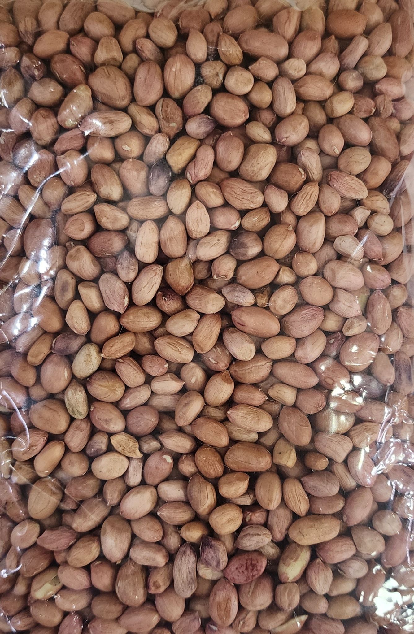 Groundnut