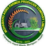 Mohabahu Agro Farmer Producer Company Limited Mohabahu Agro Farmer Producer Company Limited