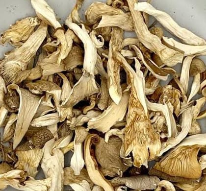 Dry Oyster Mushroom 50 gm