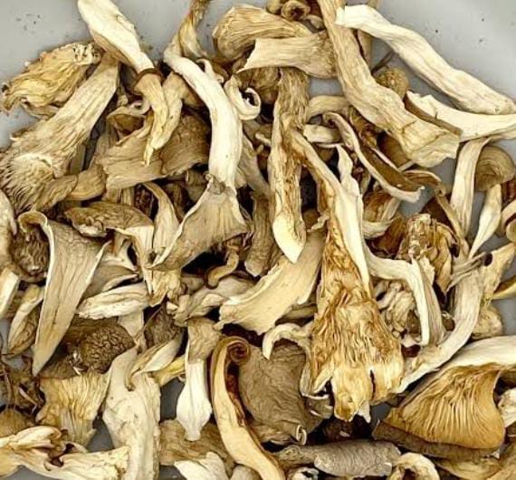 Dry Oyster Mushroom 50 gm
