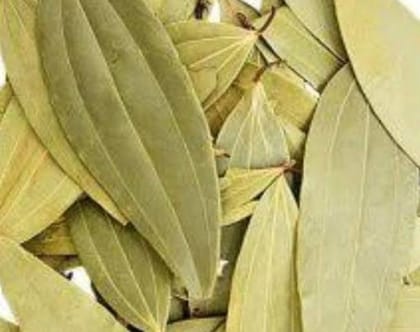 Bay leaf (Cassis leaf) 100 gm