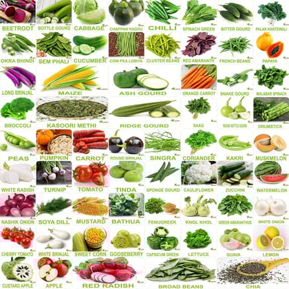 FLARE SEEDS No.1 Organic, Winter, Summer, Home Garden, Seeds Bank, Vegetable 65 Seeds Combo