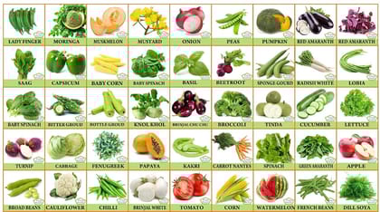 FLARE SEEDS Vegetables Seeds Pack