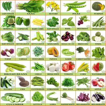 FLARE SEEDS 45 Varieties of Vegetable Seeds Combo With Instruction Manual Easy To Grow