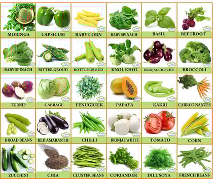 FLARE SEEDS 30 Varieties of Vegetable & Fruit Seeds For Kitchen Garden Seeds Combo