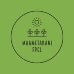 Maametakani Farmer Producer Company Limited Maametakani Farmer Producer Company Limited