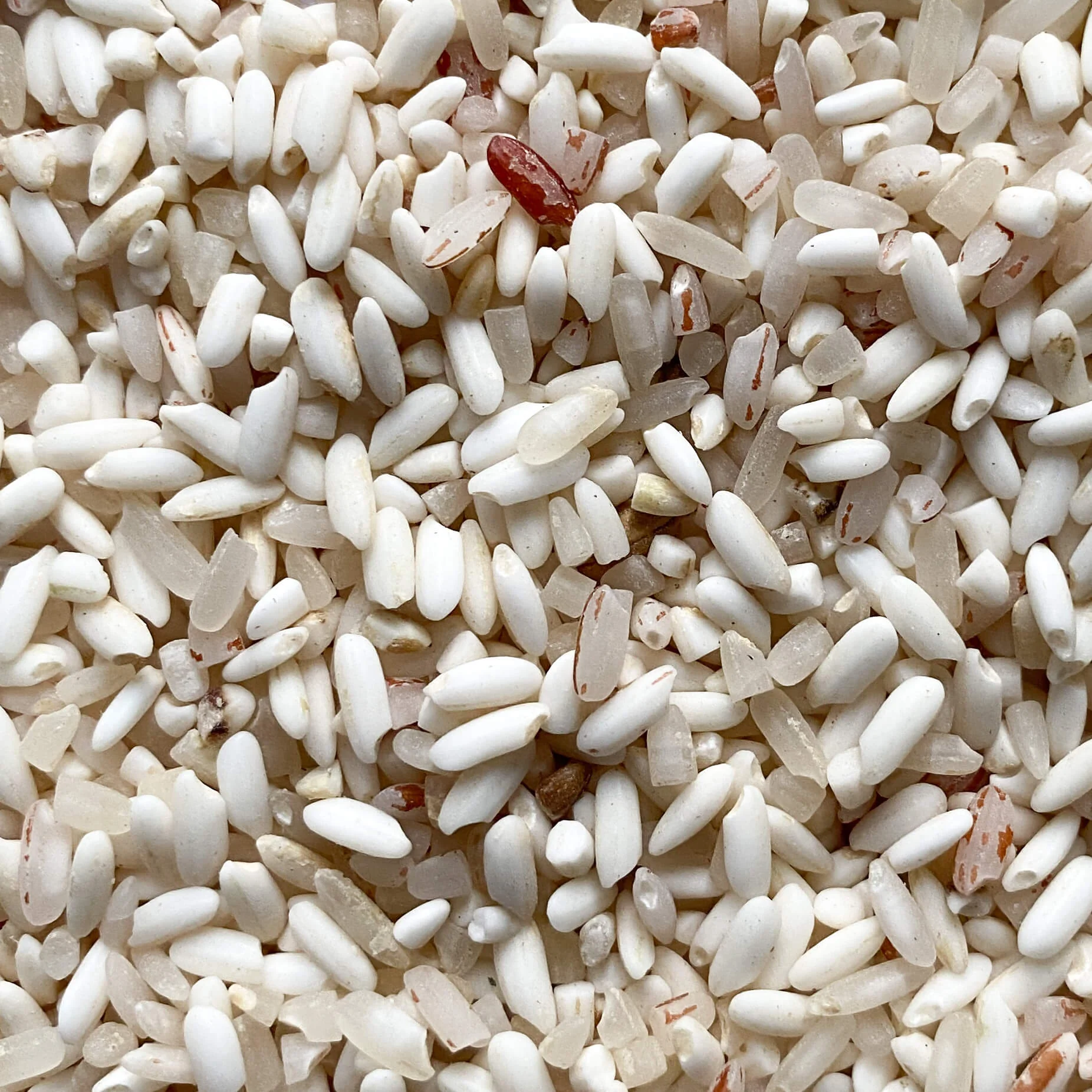 Red Binni Rice(1Kg)