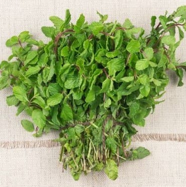 Mentha Raw (500 gm)
