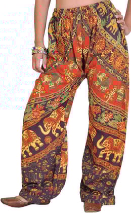 Seal-Brown Casual Trousers from Pilkhuwa with Printed Elephants