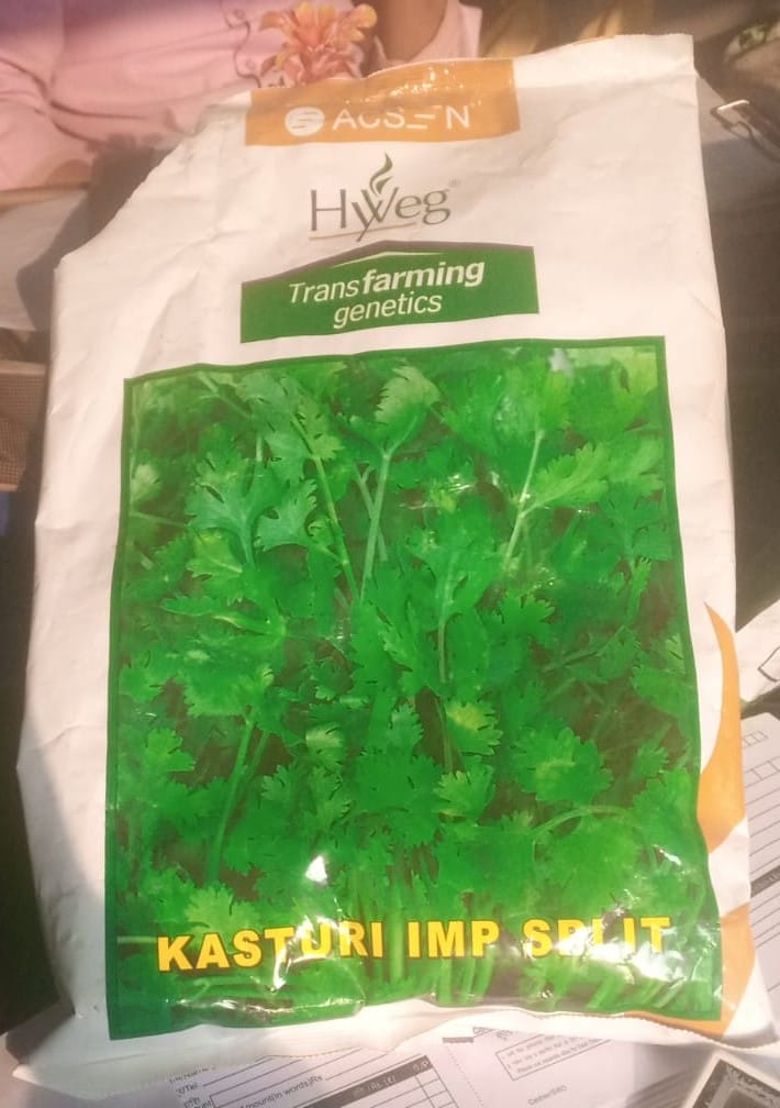 Coriander- HY Veg