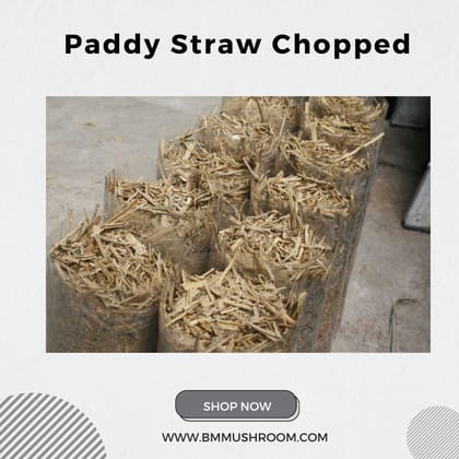Chopped Paddy Straw: Premium Substrate for Mushroom Cultivation 1kg
