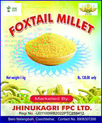 Millet Rice