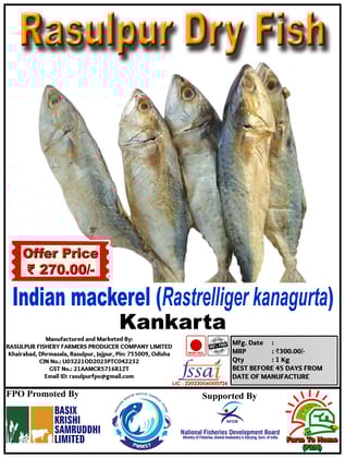 Indian mackerel (Rastrelliger kanagurta) | Kankarta | Rasulpur Dry Fish | 1Kg