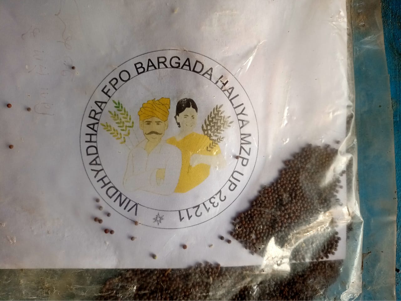 MUSTARD SEED
