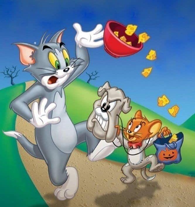 ... ...
