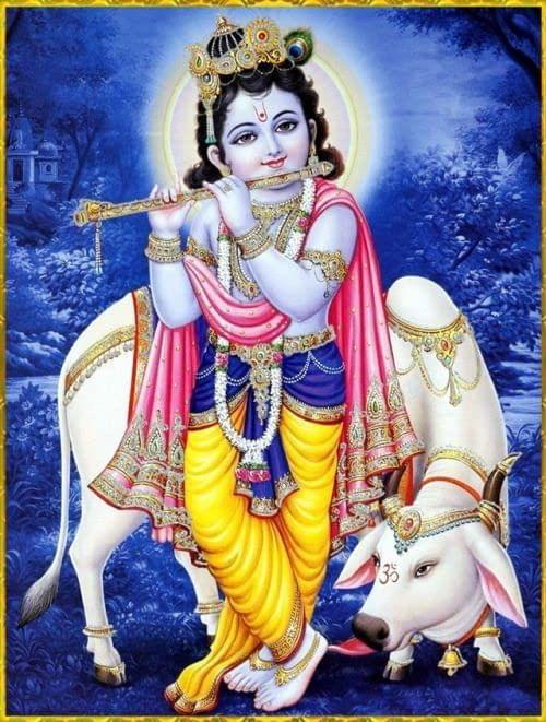 APM GOD Krishna Wall Sticker Laminated House/Office 12X18 INCHES (WS1)