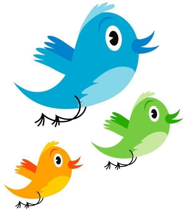 APM Kids Cute Birds Cartoon Wall Sticker Fully Waterproof Vinyl Sticker self Adhesive for Living Room, Bedroom, Office, Kids Room 12X18 inches (B14)