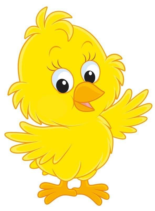 APM Kids Cute Birds Cartoon Wall Sticker Fully Waterproof Vinyl Sticker self Adhesive for Living Room, Bedroom, Office, Kids Room 12X18 inches (B26)