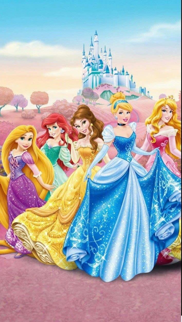APM Princess Wall Sticker Fully Waterproof Vinyl Sticker self Adhesive for Living Room, Bedroom, Office, Kids Room 12X18 inches (P11)