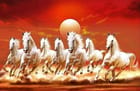 ... ...