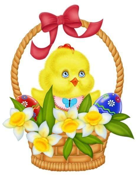 APM Kids Cute Birds Cartoon Wall Sticker Fully Waterproof Vinyl Sticker self Adhesive for Living Room, Bedroom, Office, Kids Room 12X18 inches (B9)