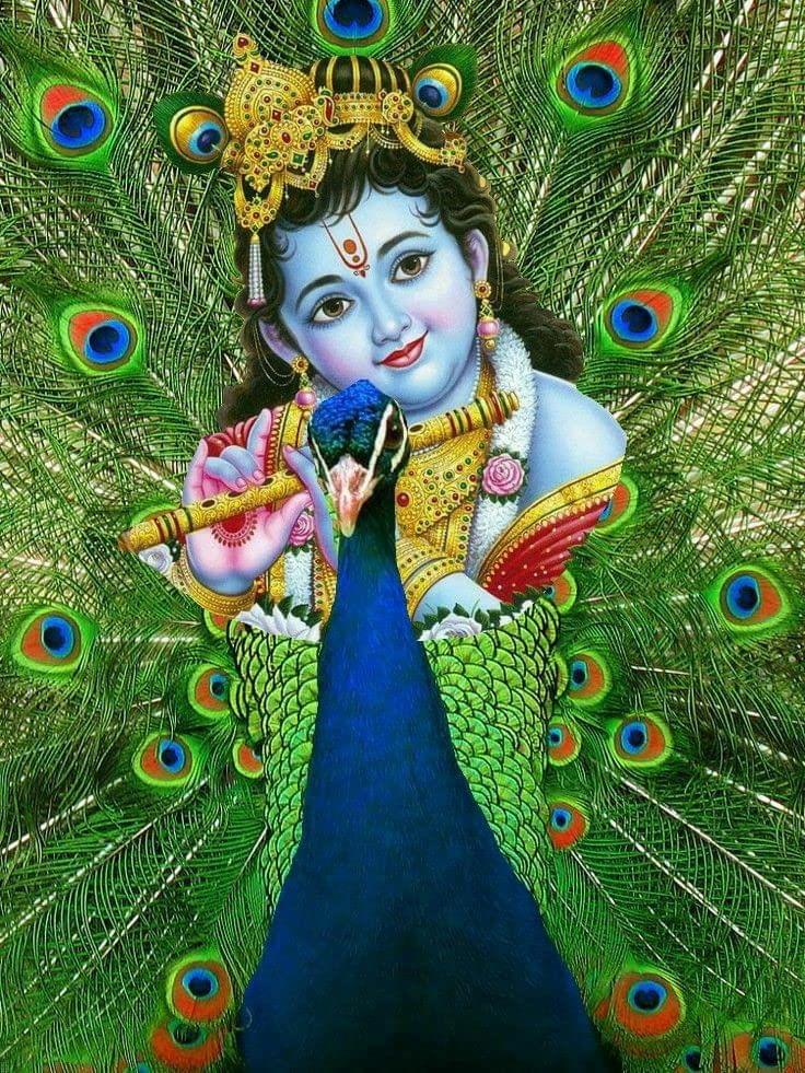 APM BAL Gopal Fully Waterproof Vinyl Sticker self Adhesive for Living Room, Bedroom, Office, Kids Room 12X18 inches (K15)