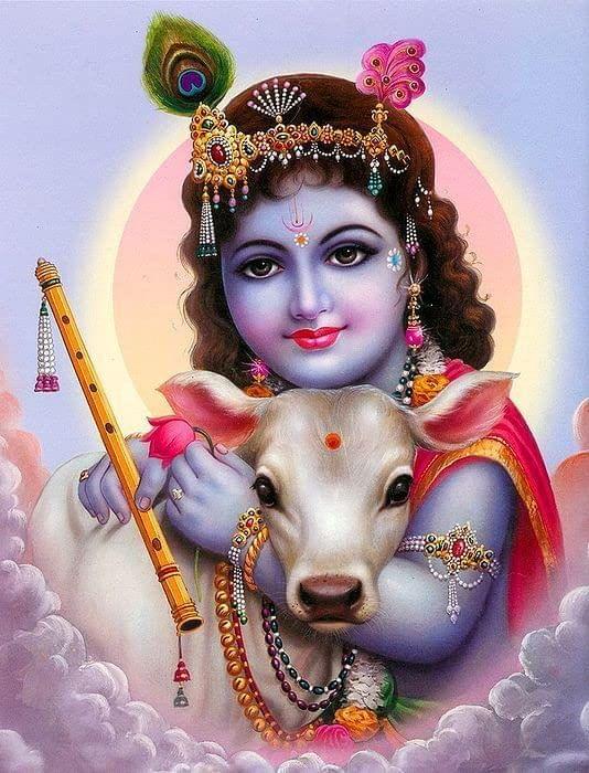 APM BAL Gopal Fully Waterproof Vinyl Sticker self Adhesive for Living Room, Bedroom, Office, Kids Room 12X18 inches (K4)