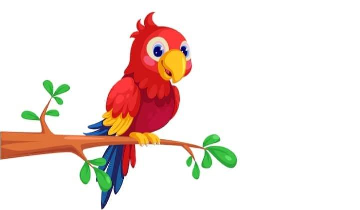 APM Bird Laminated Wall Sticker for House/Office 12X18 INCHES (WALL5)