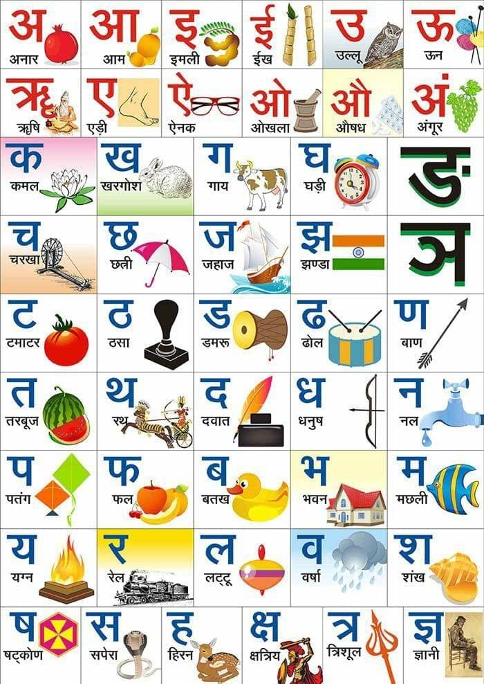 Kids Learning & Education Printed Sticker on Foam Sheet in Size12x18 inch (KL10)