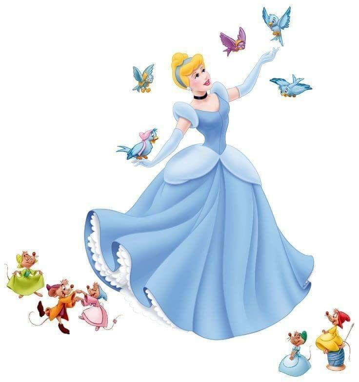 APM Princess Wall Sticker Fully Waterproof Vinyl Sticker self Adhesive for Living Room, Bedroom, Office, Kids Room 12X18 inches (P3)