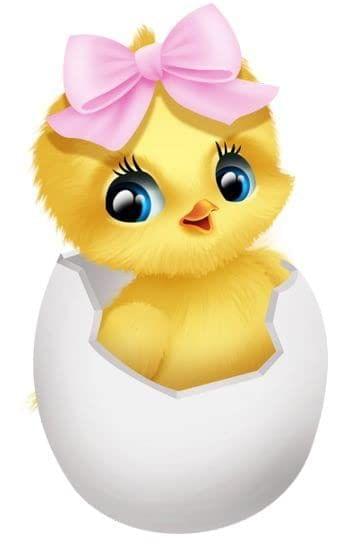 APM Kids Cute Birds Cartoon Wall Sticker Fully Waterproof Vinyl Sticker self Adhesive for Living Room, Bedroom, Office, Kids Room 12X18 inches (B25)