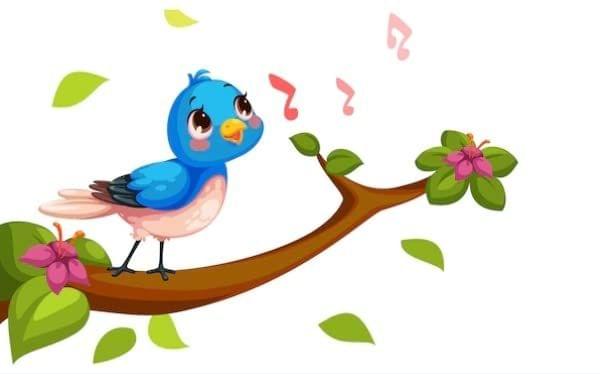 APM Birds Cartoon Wall Sticker Laminated for Kids Office House 12X18 Inches (WALL2)