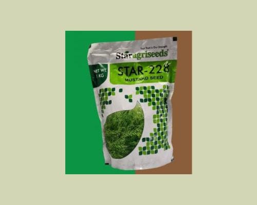 Star-228 mustard seed