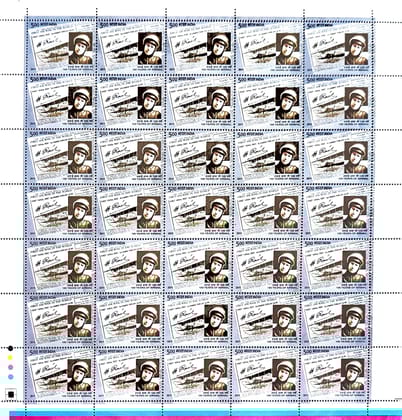 Shobhaphila's Full sheet Stamps 2010 (d) (4 NO.S)