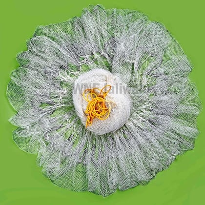 WNE Jaliwale Fishing Cast Throw Net/Hand Throw Fishing nets/Fishing Trap nets with (Heavy Duty Lead Sinker) - White Color (7 Feet) WNE Jaliwale Fishing Cast Throw Net/Hand Throw Fishing nets/Fishing Trap nets with (Heavy Duty Lead Sinker) - White Color (7 Feet)