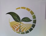Rhaino Farmer Company Pvt Ltd Rhaino Farmer Company Pvt Ltd