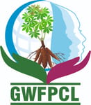 गंगावल्ली वूमेन पीपीसीएल