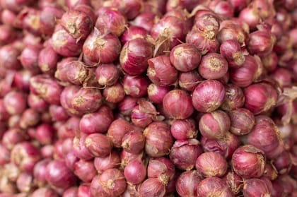 Onion